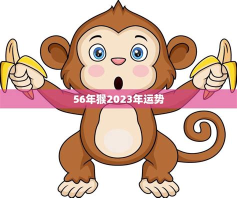 2023屬猴|2023年属猴人的流年运势、每月运势详解